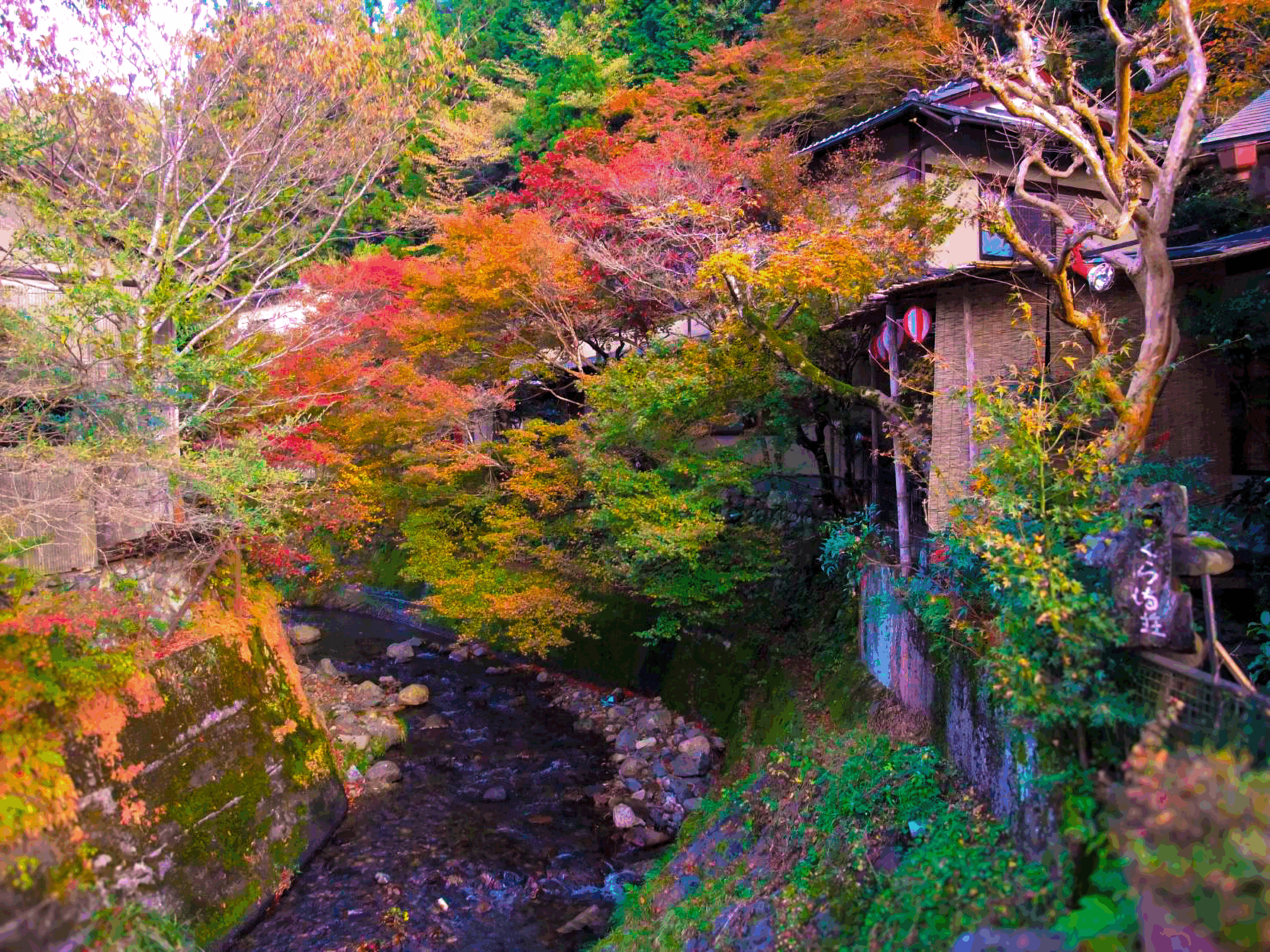 鞍馬の野山に咲く季節の草花を楽しみながら、京会席料理をお部屋で堪能できる宿。歴史ある鞍馬の自然と京都情緒を感じながら、一品一品心を込めたおもてなしを体験できます。京都観光の思い出に最適です。
